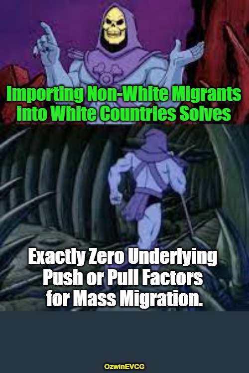 Yank the Pulls, Shove the Pushes | Importing Non-White Migrants 

into White Countries Solves; Exactly Zero Underlying 

Push or Pull Factors 

for Mass Migration. OzwinEVCG | image tagged in skeletor until next time,intervention,world occupied,invasion,white people,nonwhite people | made w/ Imgflip meme maker