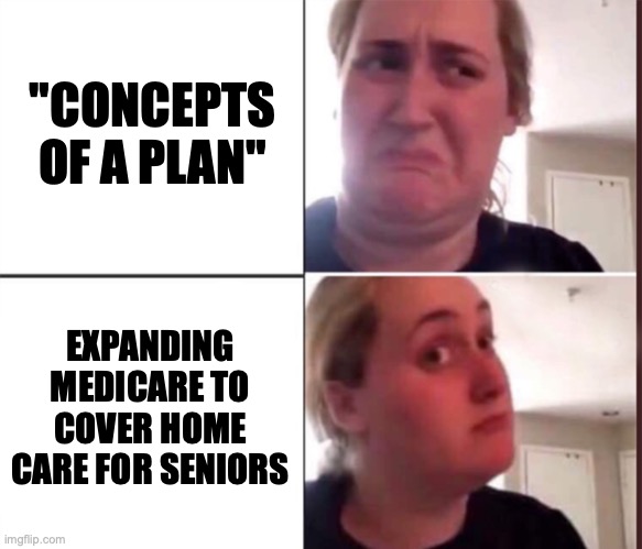 Kombucha Girl | "CONCEPTS OF A PLAN"; EXPANDING MEDICARE TO COVER HOME CARE FOR SENIORS | image tagged in kombucha girl,medicare,politics,kamala harris,healthcare,hcbs | made w/ Imgflip meme maker