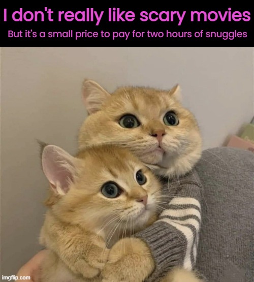 Snuggles! | I don't really like scary movies; But it's a small price to pay for two hours of snuggles | image tagged in funny memes,cats,snuggles | made w/ Imgflip meme maker