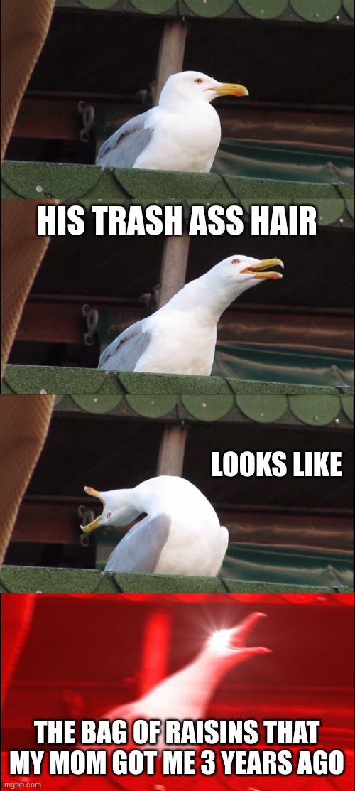 Inhaling Seagull Meme | HIS TRASH ASS HAIR LOOKS LIKE THE BAG OF RAISINS THAT MY MOM GOT ME 3 YEARS AGO | image tagged in memes,inhaling seagull | made w/ Imgflip meme maker