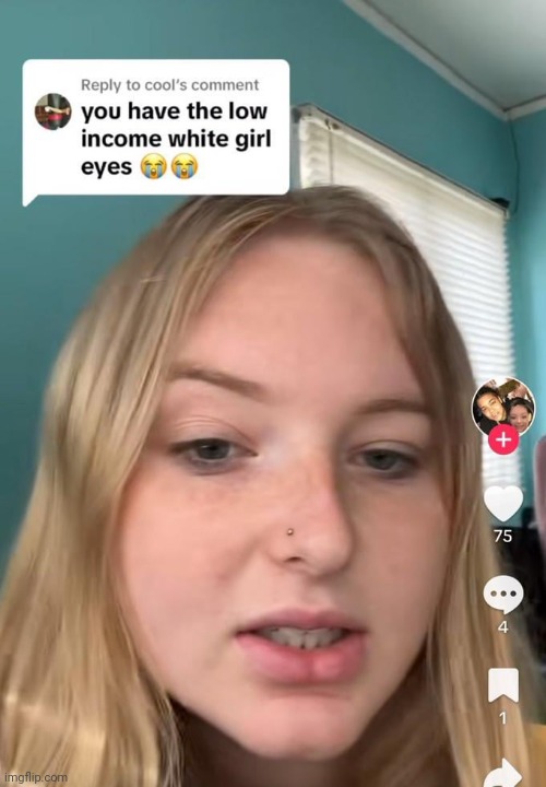 Low income girl energy | image tagged in memes,reddit,rareinsults,white girl | made w/ Imgflip meme maker