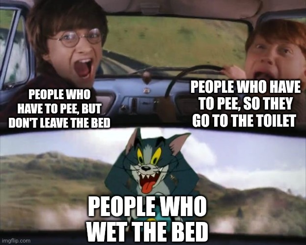 Tom chasing Harry and Ron Weasly | PEOPLE WHO HAVE TO PEE, SO THEY GO TO THE TOILET; PEOPLE WHO HAVE TO PEE, BUT DON'T LEAVE THE BED; PEOPLE WHO WET THE BED | image tagged in tom chasing harry and ron weasly | made w/ Imgflip meme maker