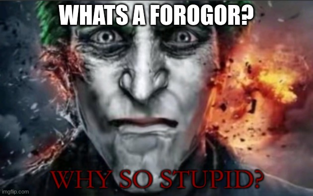 Why so stupid | WHATS A FOROGOR? | image tagged in why so stupid | made w/ Imgflip meme maker