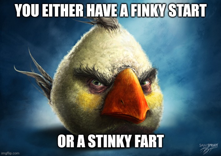 Realistic Angry Bird (Mathilda) | YOU EITHER HAVE A FINKY START; OR A STINKY FART | image tagged in realistic angry bird mathilda,realistic angry bird,meme | made w/ Imgflip meme maker