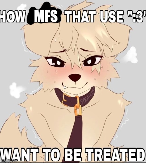 How mf's using ":3" want to be treated | MFS | image tagged in how mf's using 3 want to be treated | made w/ Imgflip meme maker