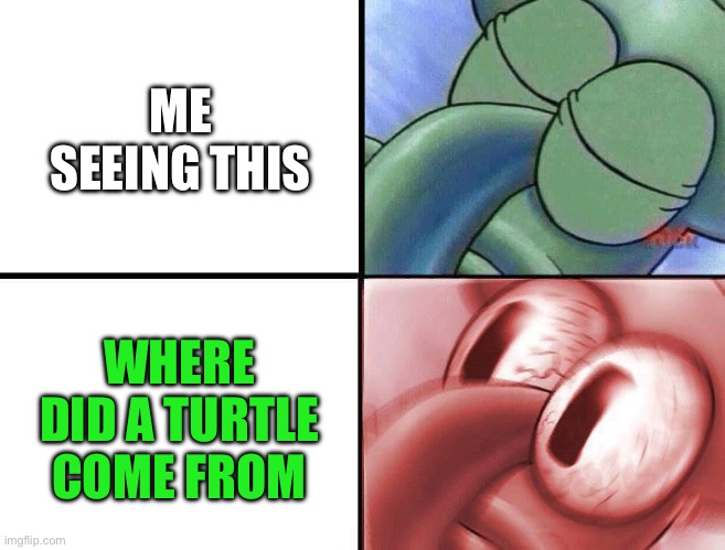 ME SEEING THIS WHERE DID A TURTLE COME FROM | image tagged in sleeping squidward | made w/ Imgflip meme maker