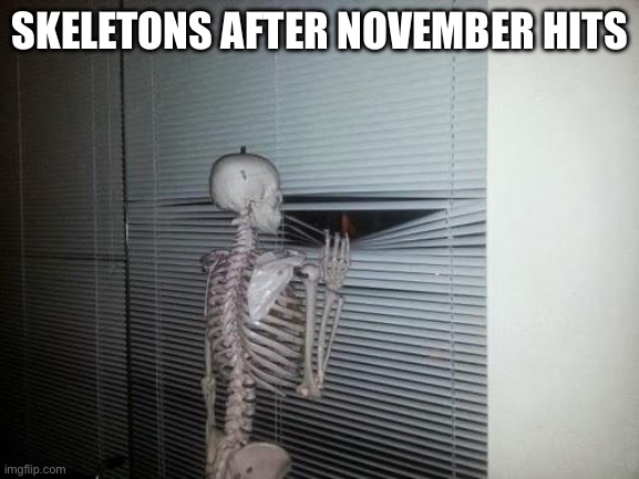 Skeletons are allergic to Christmas | SKELETONS AFTER NOVEMBER HITS | image tagged in skeleton looking out window,halloween,funny,funny memes,fun | made w/ Imgflip meme maker