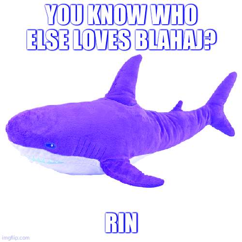 blåhaj | YOU KNOW WHO ELSE LOVES BLAHAJ? RIN | image tagged in bl haj | made w/ Imgflip meme maker