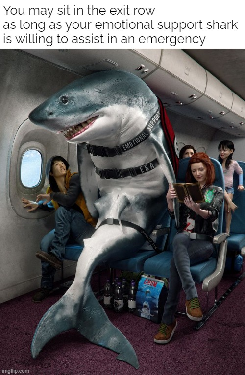 Hold my fin! | You may sit in the exit row
as long as your emotional support shark
is willing to assist in an emergency | image tagged in funny memes,emotional support animals,sharks | made w/ Imgflip meme maker