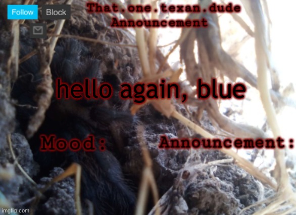 THE that.one.texan.dude announcement template | hello again, blue | image tagged in the that one texan dude announcement template | made w/ Imgflip meme maker