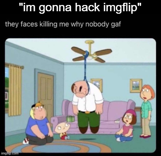 why nobody gaf | "im gonna hack imgflip" | image tagged in why nobody gaf | made w/ Imgflip meme maker