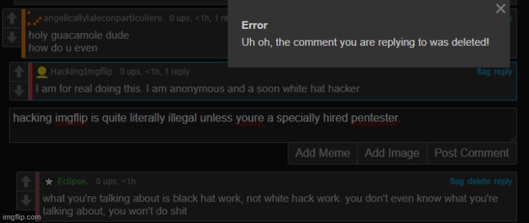 how you gonna call yourself a white hat hacker if youre doing illegal shit ☠️ | made w/ Imgflip meme maker