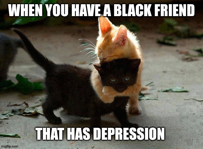 Fun | WHEN YOU HAVE A BLACK FRIEND; THAT HAS DEPRESSION | image tagged in funny | made w/ Imgflip meme maker