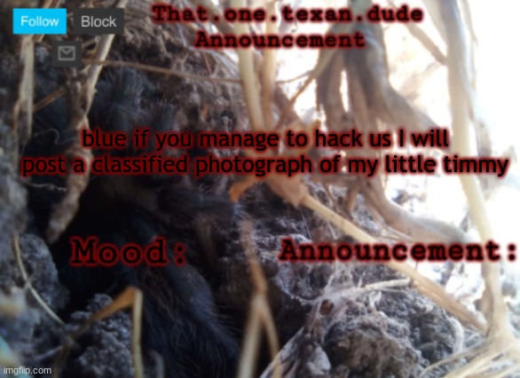 *big johnson | blue if you manage to hack us I will post a classified photograph of my little timmy | image tagged in the that one texan dude announcement template | made w/ Imgflip meme maker
