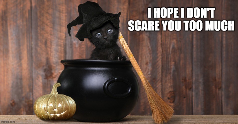 memes by Brad - Kitten doesn't want to scare you too much | I HOPE I DON'T SCARE YOU TOO MUCH | image tagged in cats,funny,cute kitten,halloween,halloween costume,humor | made w/ Imgflip meme maker