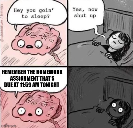 So true tho ? | REMEMBER THE HOMEWORK ASSIGNMENT THAT'S DUE AT 11:59 AM TONIGHT | image tagged in hey you goin to sleep | made w/ Imgflip meme maker