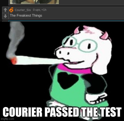 ralsei smoking | COURIER PASSED THE TEST | image tagged in ralsei smoking | made w/ Imgflip meme maker