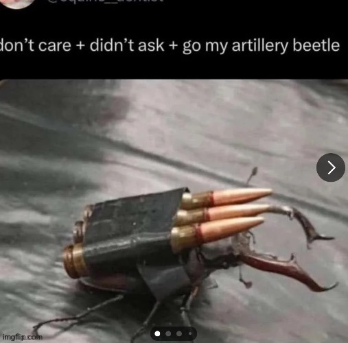 Artillery beetle | image tagged in artillery beetle | made w/ Imgflip meme maker