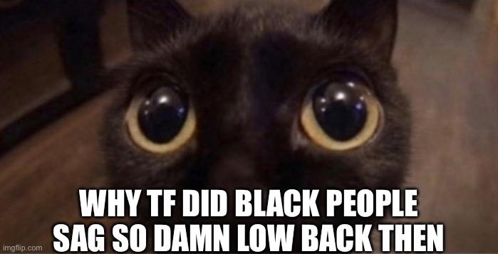 Skrunkly | WHY TF DID BLACK PEOPLE SAG SO DAMN LOW BACK THEN | image tagged in skrunkly | made w/ Imgflip meme maker