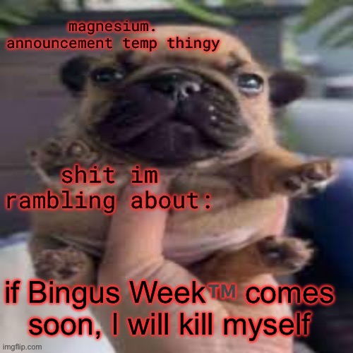 who tf is making this corny shit for the most racist stream on this site? | if Bingus Week™️ comes soon, I will kill myself | image tagged in pug temp | made w/ Imgflip meme maker
