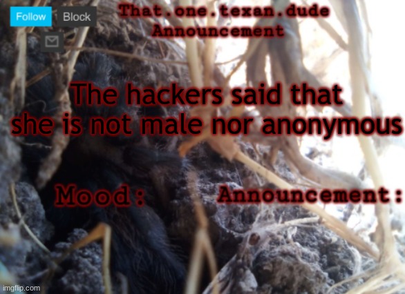 she just told me to announce it idk why | The hackers said that she is not male nor anonymous | image tagged in the that one texan dude announcement template | made w/ Imgflip meme maker