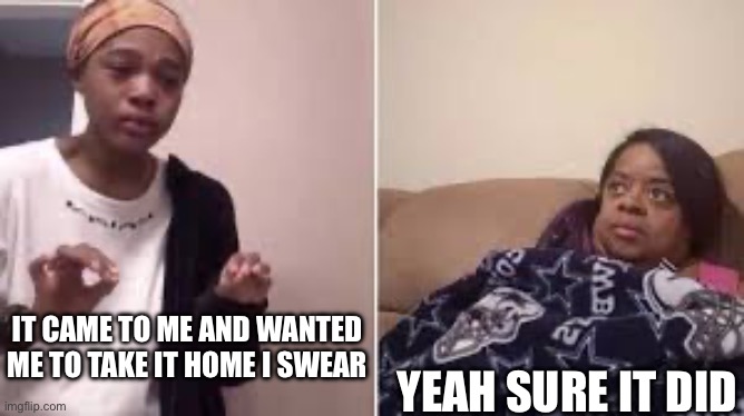 Me explaining to my mom | IT CAME TO ME AND WANTED ME TO TAKE IT HOME I SWEAR YEAH SURE IT DID | image tagged in me explaining to my mom | made w/ Imgflip meme maker