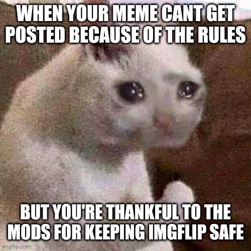 Sad but proud cat | WHEN YOUR MEME CANT GET POSTED BECAUSE OF THE RULES; BUT YOU'RE THANKFUL TO THE MODS FOR KEEPING IMGFLIP SAFE | image tagged in sad but proud cat | made w/ Imgflip meme maker