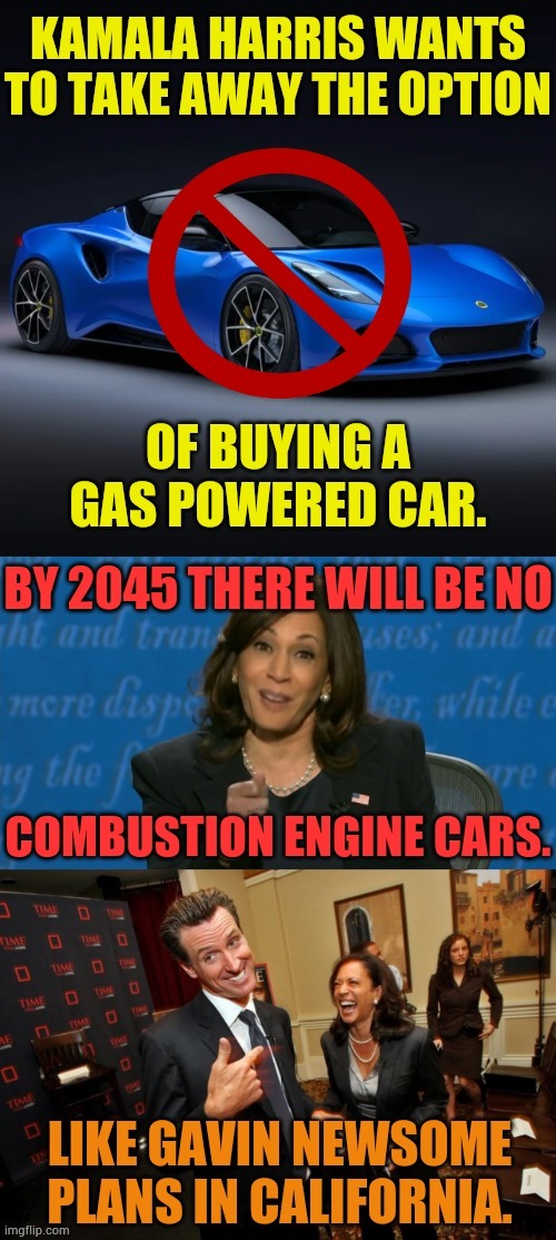 California Dreaming | image tagged in memes,kamala harris,no combustion,engine,copy,gavin | made w/ Imgflip meme maker