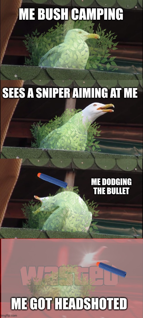 Me bushcamping | ME BUSH CAMPING; SEES A SNIPER AIMING AT ME; ME DODGING THE BULLET; ME GOT HEADSHOTED | image tagged in memes,inhaling seagull | made w/ Imgflip meme maker