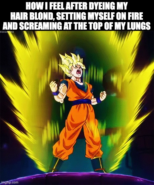 *B* I look like Goku | HOW I FEEL AFTER DYEING MY HAIR BLOND, SETTING MYSELF ON FIRE AND SCREAMING AT THE TOP OF MY LUNGS | image tagged in goku super saiyan | made w/ Imgflip meme maker