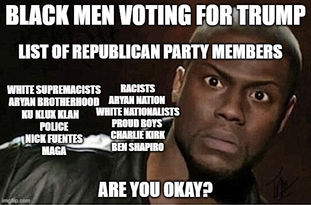 Black Men Voting For Trump | BLACK MEN VOTING FOR TRUMP; LIST OF REPUBLICAN PARTY MEMBERS; WHITE SUPREMACISTS
ARYAN BROTHERHOOD
KU KLUX KLAN    
POLICE
NICK FUENTES
MAGA; RACISTS
ARYAN NATION 
WHITE NATIONALISTS
PROUD BOYS 
CHARLIE KIRK
BEN SHAPIRO; ARE YOU OKAY? | image tagged in kevin hart,black men,black twitter,maga,donald trump | made w/ Imgflip meme maker