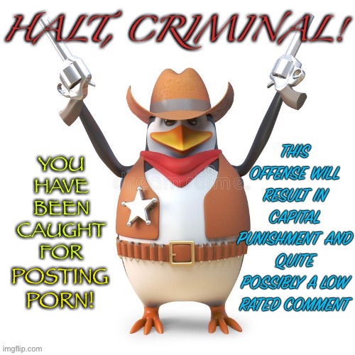 Halt, criminal! Original temp | POSTING PORN! | image tagged in halt criminal original temp | made w/ Imgflip meme maker