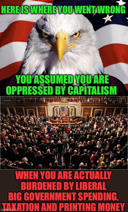 National debt is $34 billion; equals $271,189 per taxpayer. And you can’t get ahead because of capitalism? It’s big government. | HERE IS WHERE YOU WENT WRONG; YOU ASSUMED YOU ARE OPPRESSED BY CAPITALISM; WHEN YOU ARE ACTUALLY BURDENED BY LIBERAL BIG GOVERNMENT SPENDING, TAXATION AND PRINTING MONEY | image tagged in freedom eagle,congress,capitalism,liberal,national debt | made w/ Imgflip meme maker