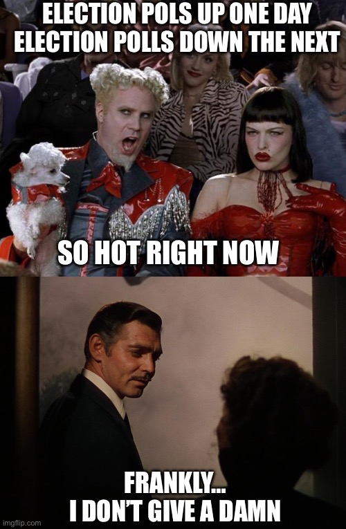 Anyone else burnt out? Enough already! The only election poll that counts is the one taken on November 5 | ELECTION POLS UP ONE DAY
ELECTION POLLS DOWN THE NEXT; SO HOT RIGHT NOW; FRANKLY…
I DON’T GIVE A DAMN | image tagged in mugatu so hot right now,frankly my dear,election polls,enough | made w/ Imgflip meme maker