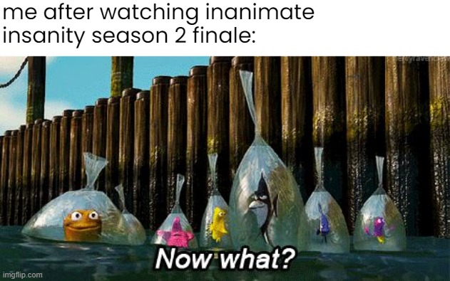 that was a bad ending | me after watching inanimate insanity season 2 finale: | image tagged in now what | made w/ Imgflip meme maker