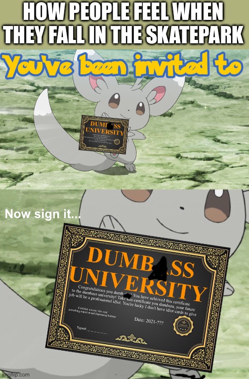 :/ | HOW PEOPLE FEEL WHEN THEY FALL IN THE SKATEPARK | image tagged in you've been invited to dumbass university,why | made w/ Imgflip meme maker