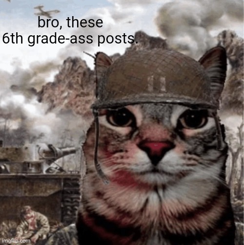 War Cat | bro, these 6th grade-ass posts. | image tagged in war cat | made w/ Imgflip meme maker