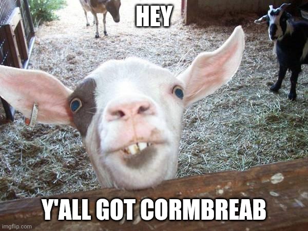 .... | HEY; Y'ALL GOT CORMBREAB | image tagged in smiling goat | made w/ Imgflip meme maker