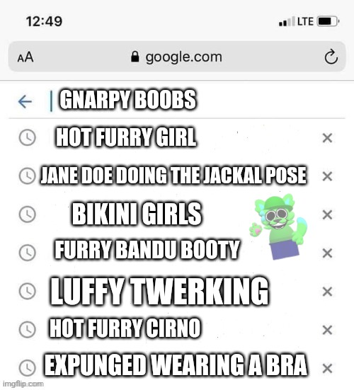 Horny ahh user search history be like | GNARPY BOOBS; HOT FURRY GIRL; JANE DOE DOING THE JACKAL POSE; BIKINI GIRLS; FURRY BANDU BOOTY; LUFFY TWERKING; HOT FURRY CIRNO; EXPUNGED WEARING A BRA | image tagged in google search history blank | made w/ Imgflip meme maker