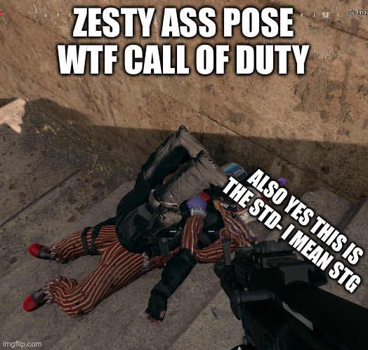 ZESTY ASS POSE WTF CALL OF DUTY; ALSO YES THIS IS THE STD- I MEAN STG | made w/ Imgflip meme maker