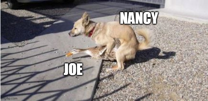 NANCY JOE | made w/ Imgflip meme maker