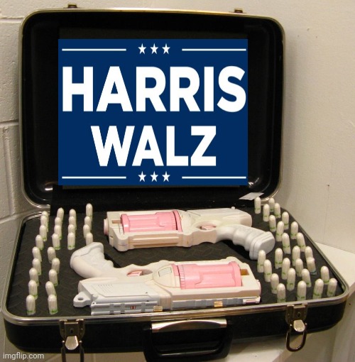 harris and Walz meme | image tagged in nerf | made w/ Imgflip meme maker