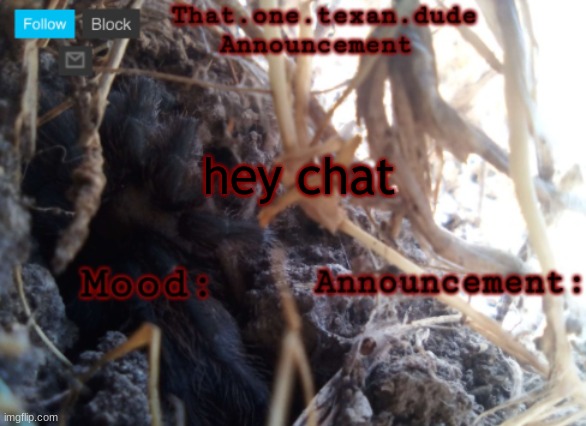 THE that.one.texan.dude announcement template | hey chat | image tagged in the that one texan dude announcement template | made w/ Imgflip meme maker