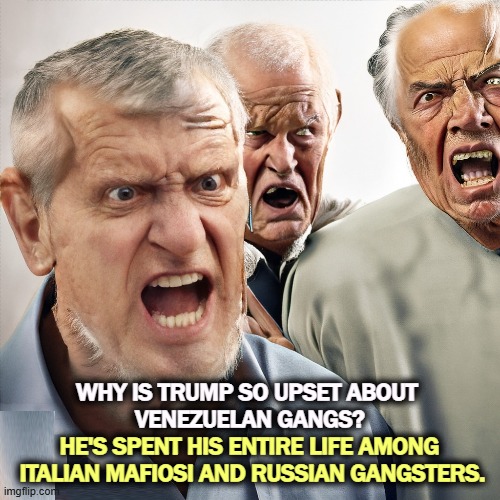 WHY IS TRUMP SO UPSET ABOUT 
VENEZUELAN GANGS? HE'S SPENT HIS ENTIRE LIFE AMONG 

ITALIAN MAFIOSI AND RUSSIAN GANGSTERS. | image tagged in trump,criminals,mafia,gangsters | made w/ Imgflip meme maker