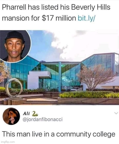 Pharrell community college | image tagged in pharrell community college | made w/ Imgflip meme maker