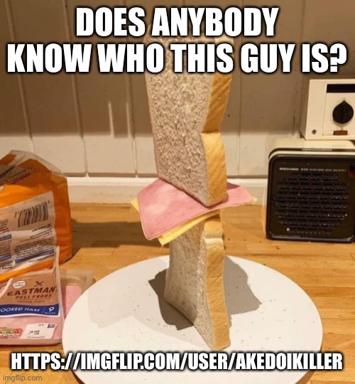 Standwich | DOES ANYBODY KNOW WHO THIS GUY IS? HTTPS://IMGFLIP.COM/USER/AKEDOIKILLER | image tagged in standwich | made w/ Imgflip meme maker