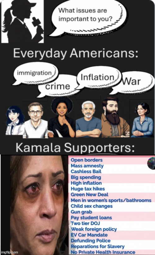 Trump wants to save America... Kamala wants to destroy it... look at her CA record | image tagged in just look at her ca record,kamala,public grifter | made w/ Imgflip meme maker