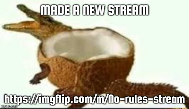 Coconut | MADE A NEW STREAM; https://imgflip.com/m/No-rules-stream | image tagged in coconut | made w/ Imgflip meme maker