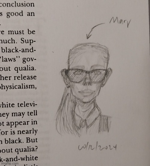 Mary | image tagged in drawings,girl,glasses,sketch | made w/ Imgflip meme maker