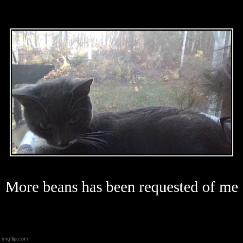 so here ya go- | More beans has been requested of me | | image tagged in funny,demotivationals | made w/ Imgflip demotivational maker